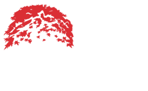 Northview Landscaping Logo