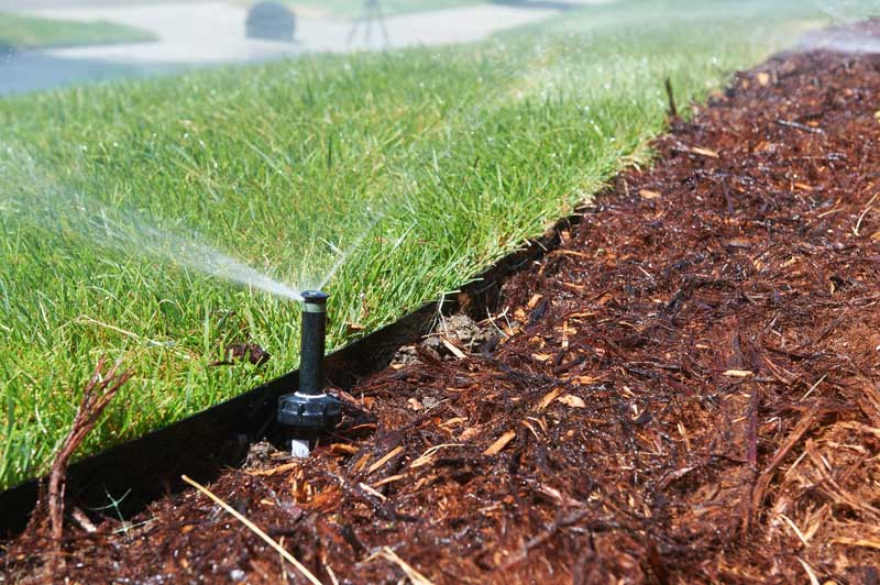 Landscape and Irrigation System Installation