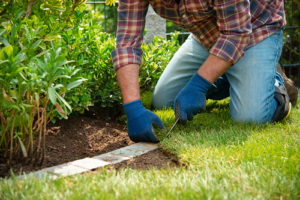 Landscaper laying patches of grass in soil