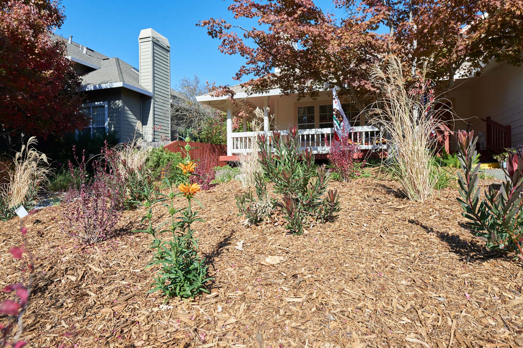 Landscaping Contractor in Sonoma County CA | Northview Landscaping