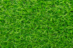 Artificial Grass 