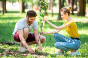 how-to-plant-a-tree-in-the-spring