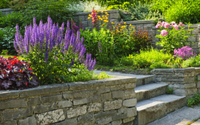 Creative Garden Design Ideas to Make the Best of Your Space