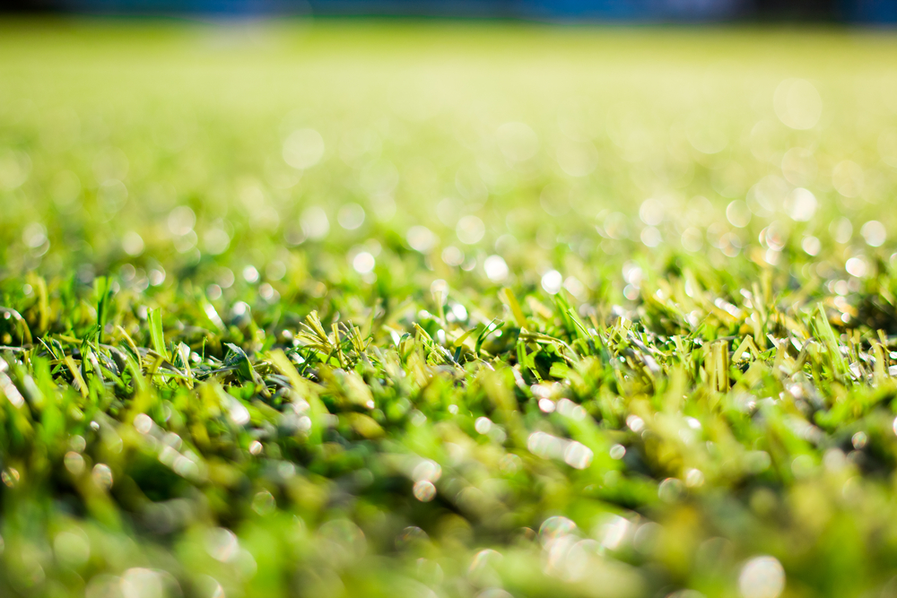 Real Grass VS Artificial Grass Landscaping: Pros and Cons
