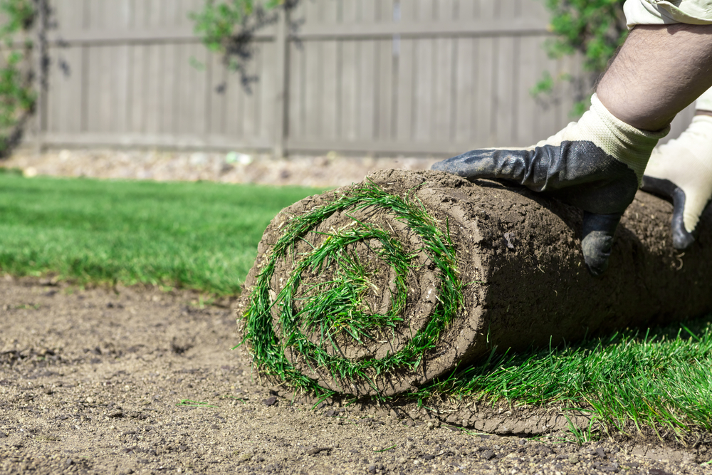 Sod Replacement Is A Worthy Home Investment. Here’s Why.