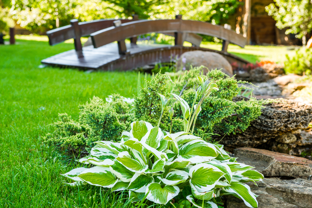 How Garden Landscape Design Can Increase Your Property Value