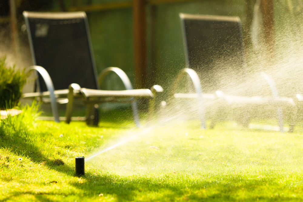 Why You Should Invest in Irrigation System Installation