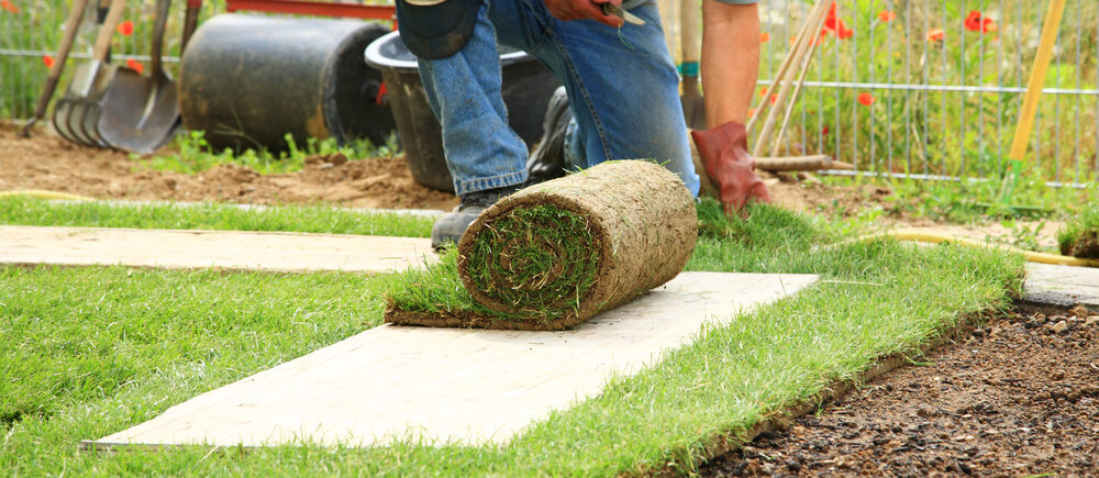 What Is The Average Landscaping Cost In, How Much Does Commercial Landscaping Cost Per Square Foot