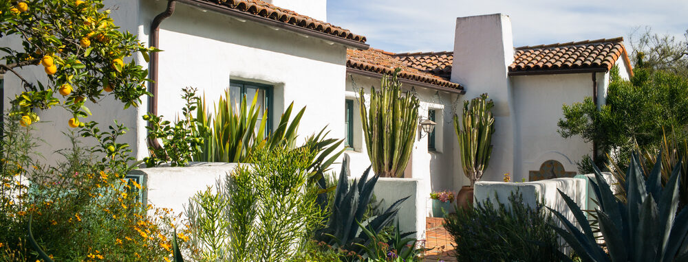 7 Things to Know About Landscaping in California Climates
