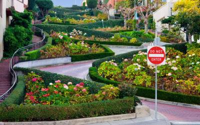 7 Things to Know About Landscaping in California Climates