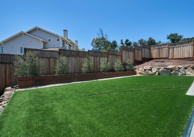 Drought resistant landscaping | Northview Landscaping